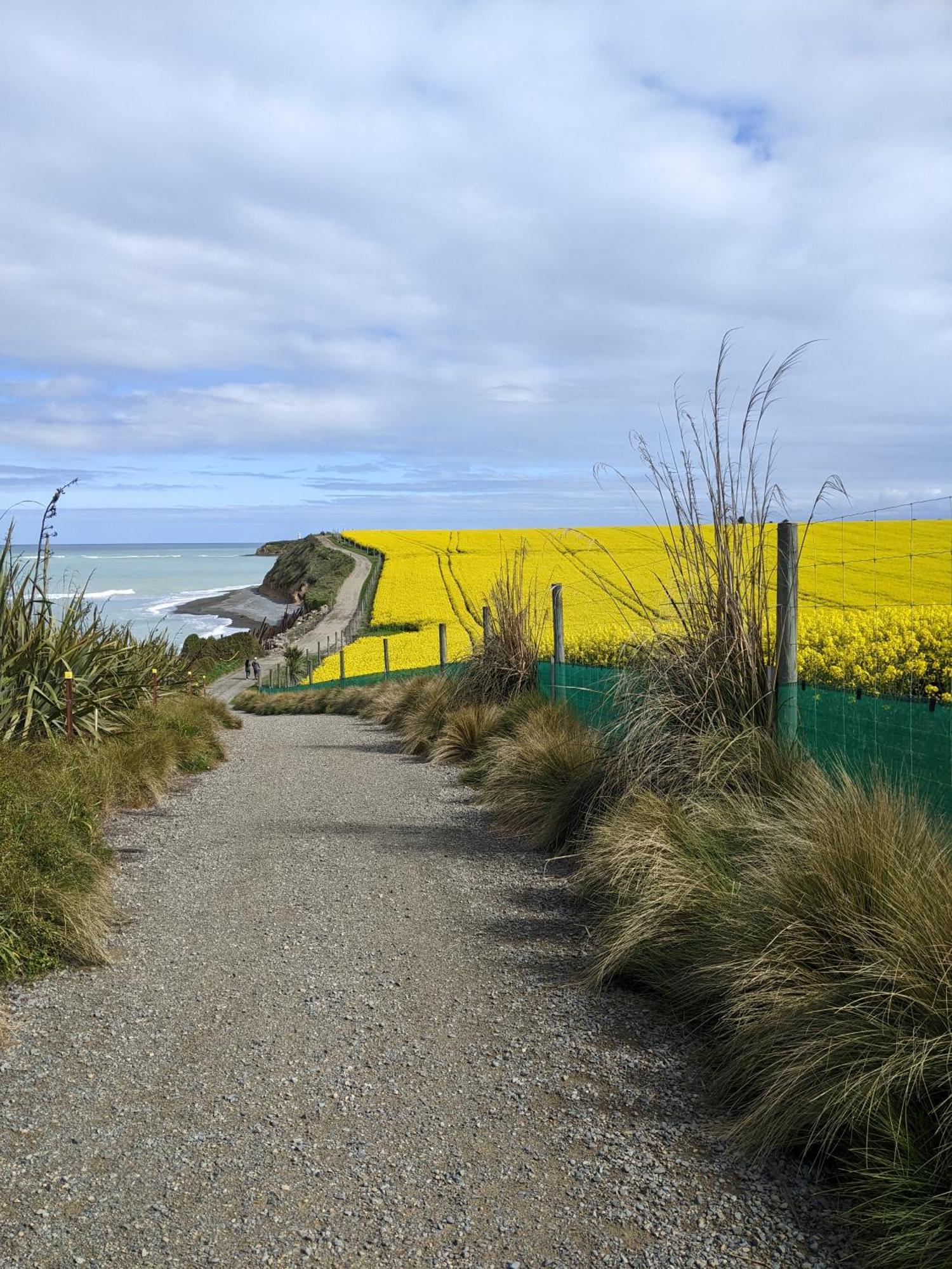 Kingsdown Manor B&B Timaru Zewnętrze zdjęcie